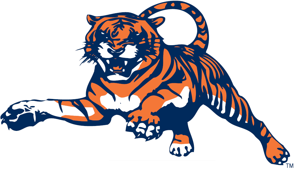 Auburn Tigers 1982-1997 Alternate Logo diy DTF decal sticker